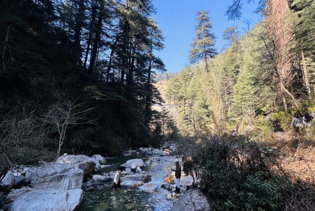 manali to jibhi