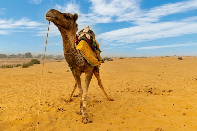 Jaisalmer