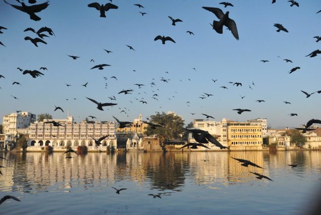 Udaipur
