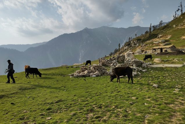 Mcleod Ganj