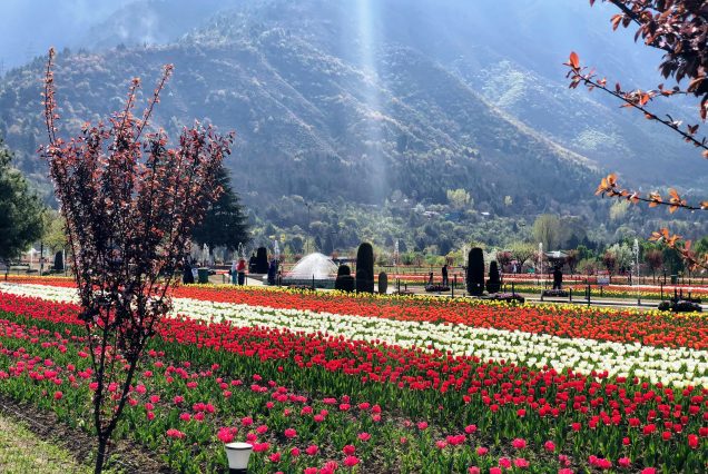 Srinagar